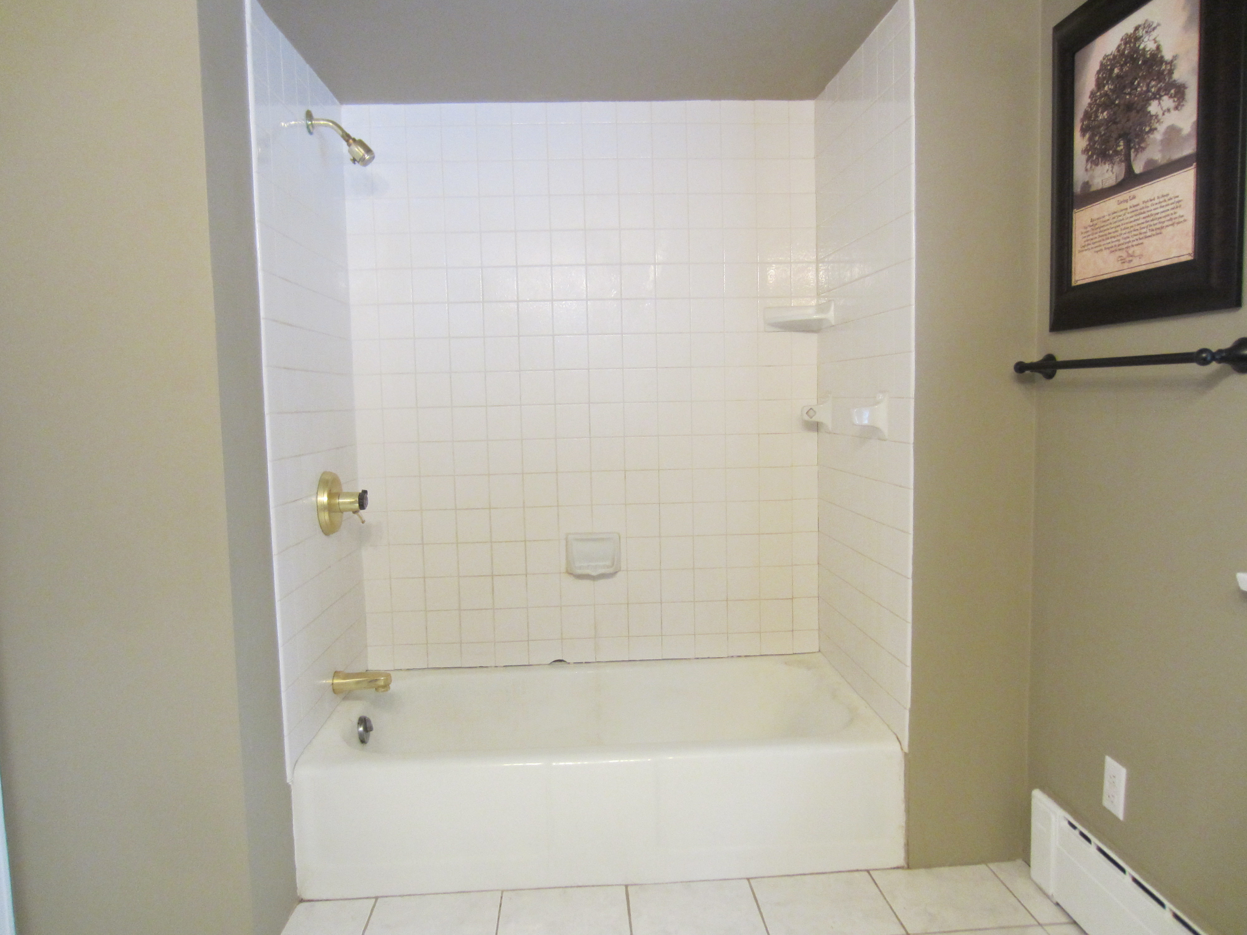 Tub & River Rock Walls