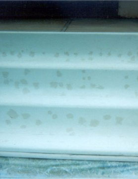 Pool Step Blisters